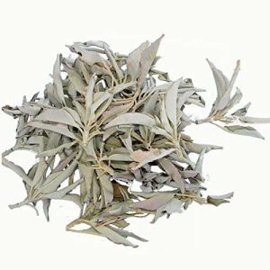 Salvia Blanca hojas - California White sage