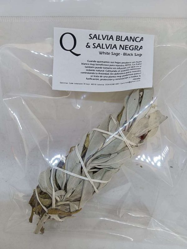 California White Sage - Salvia Blanca - arruda